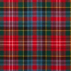 Reiver Light Weight Tartan Fabric - Caledonia Modern